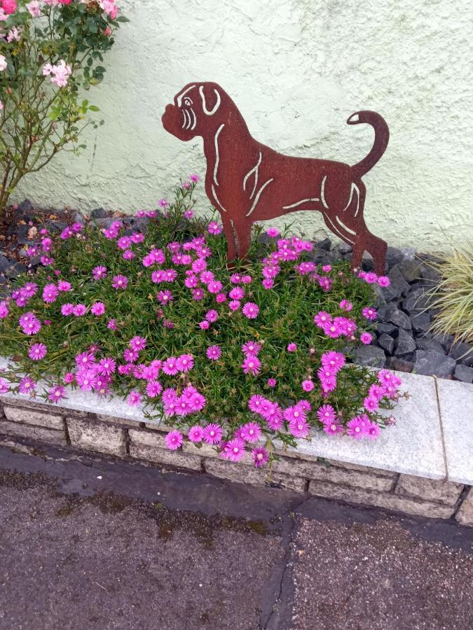 Ferienwohnung Am Kocher-Jagst Radweg Neuenstadt am Kocher Esterno foto